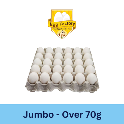 White Eggs