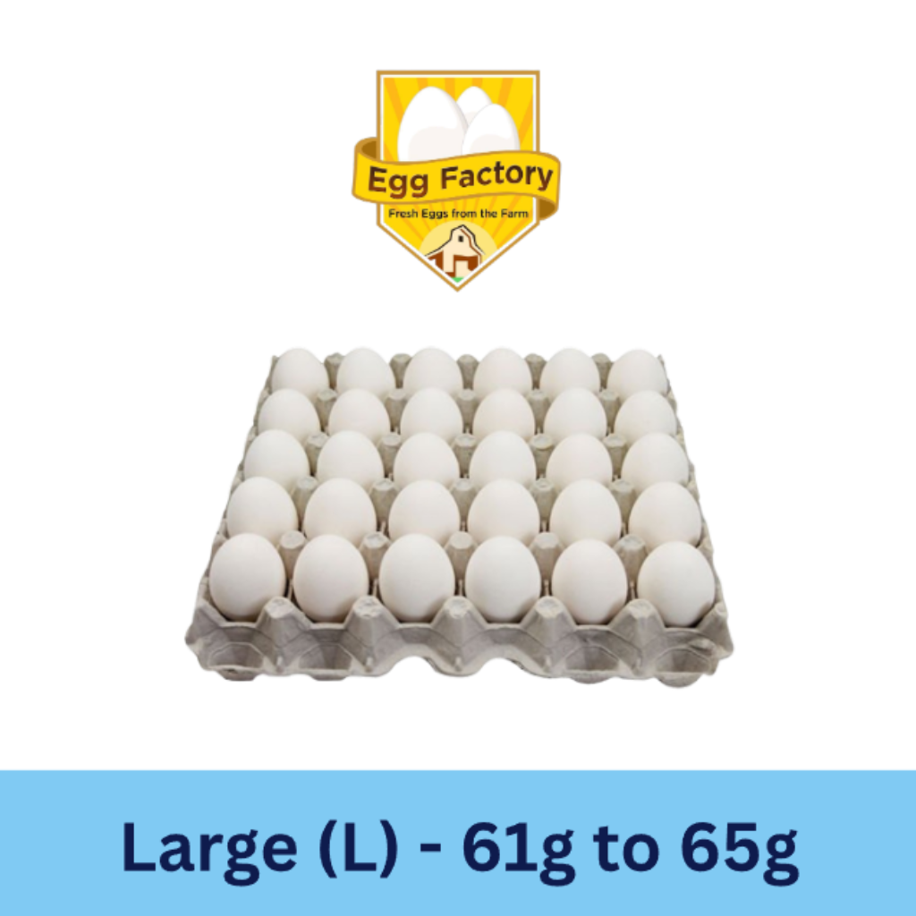 White Eggs