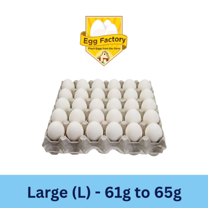 White Eggs