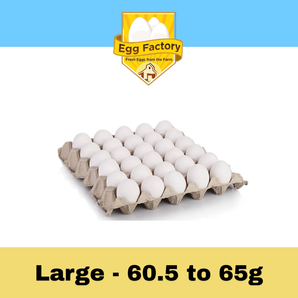 White Eggs