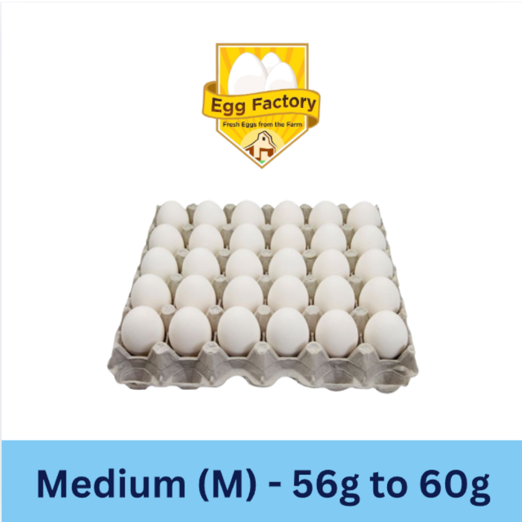 White Eggs