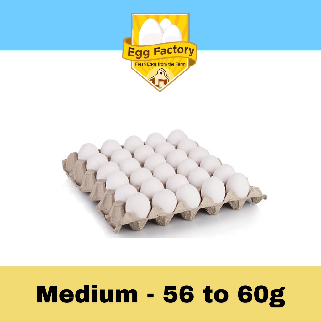 White Eggs