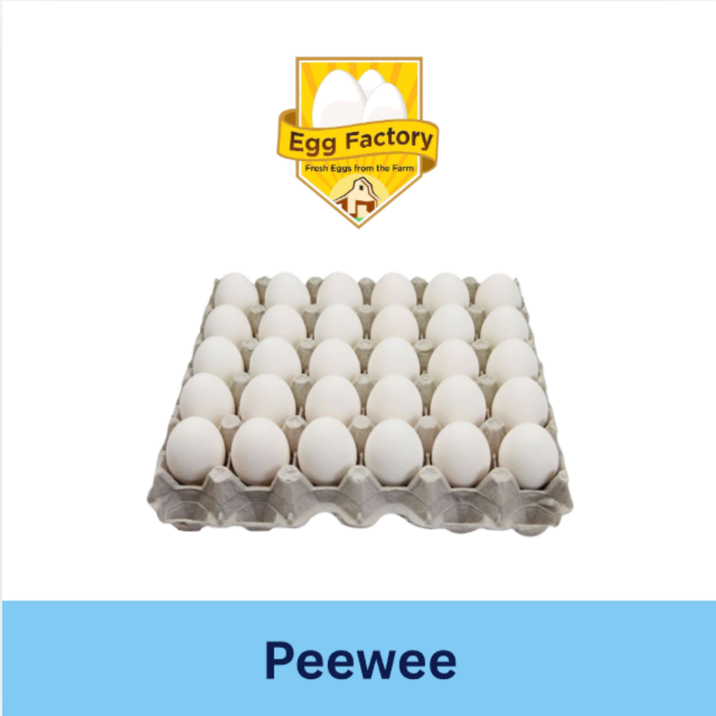 White Eggs