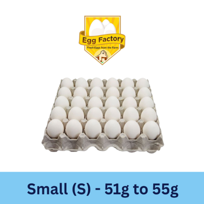 White Eggs