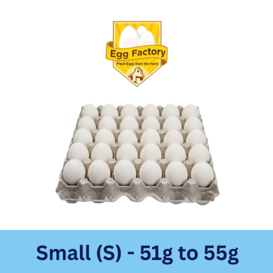 White Eggs