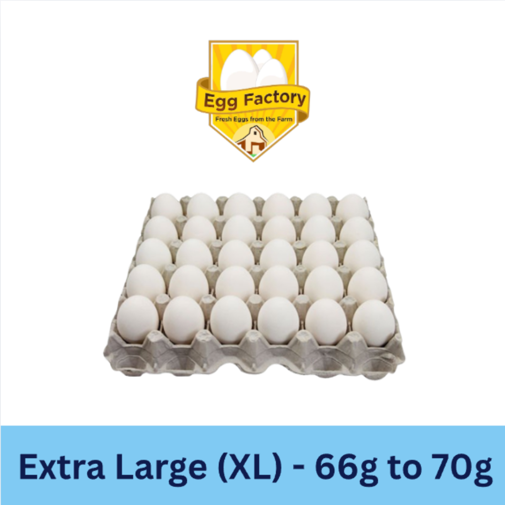 White Eggs