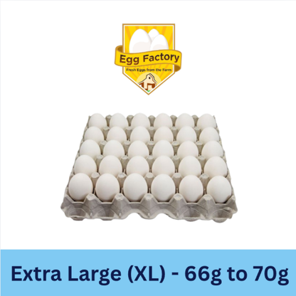White Eggs