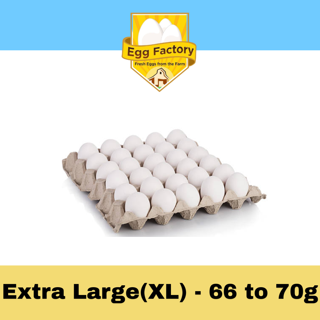 White Eggs