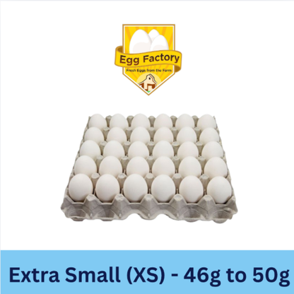 White Eggs