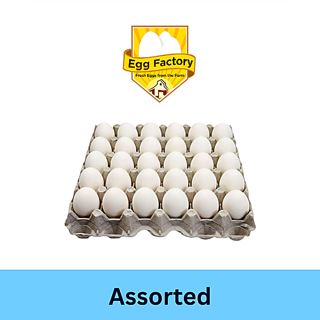 White Eggs