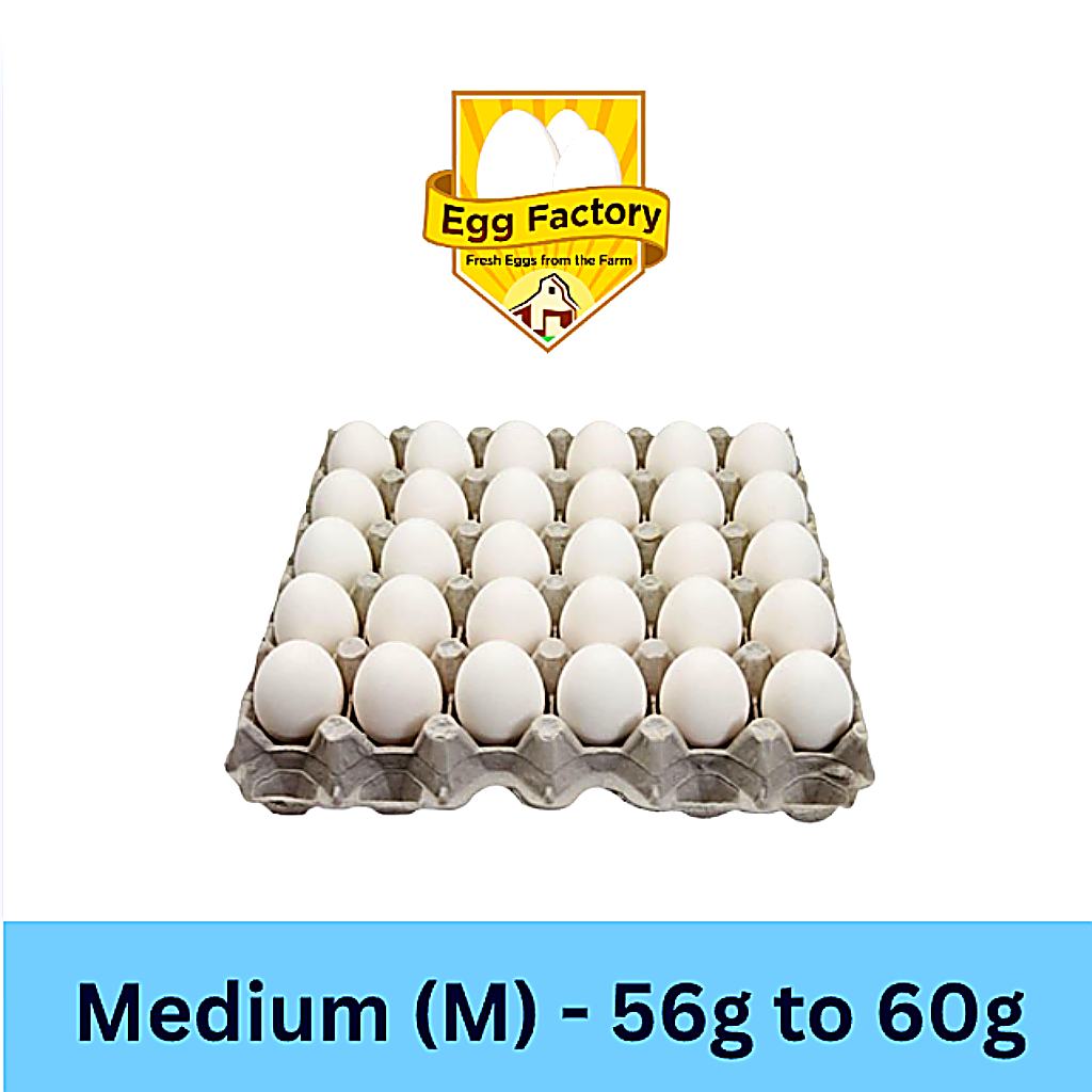White Eggs