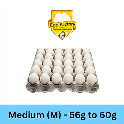 White Eggs