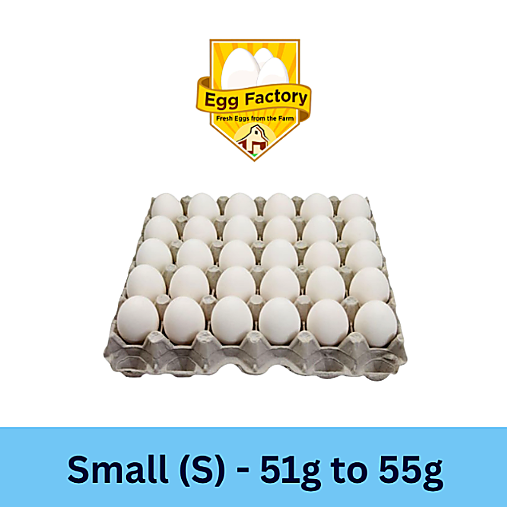 White Eggs