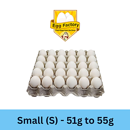 White Eggs