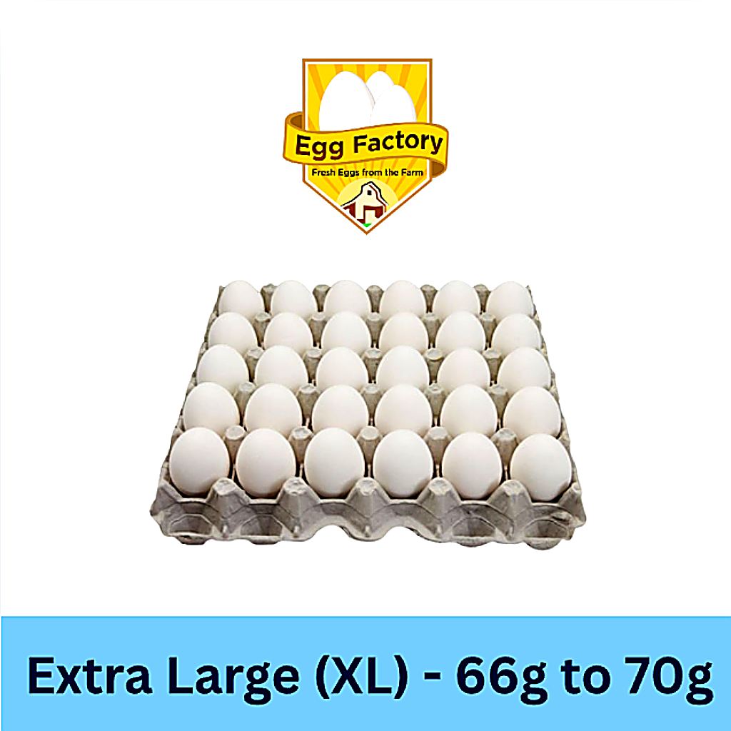 White Eggs