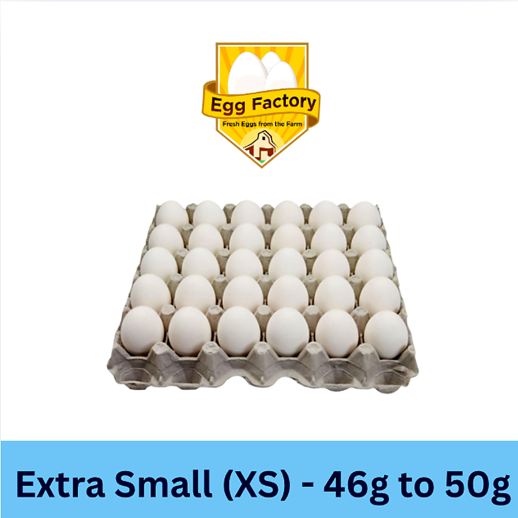 White Eggs