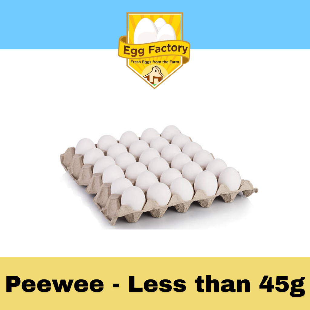White Eggs