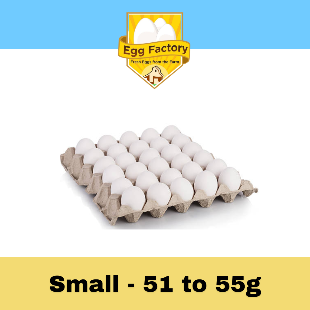 White Eggs