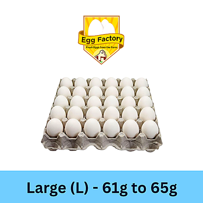 White Eggs